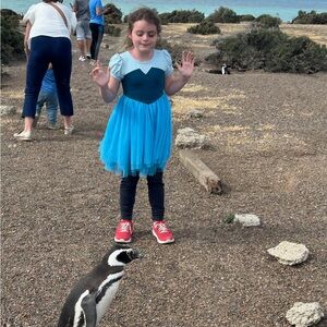 Taylor Joelle Sea Princess Dress size 8